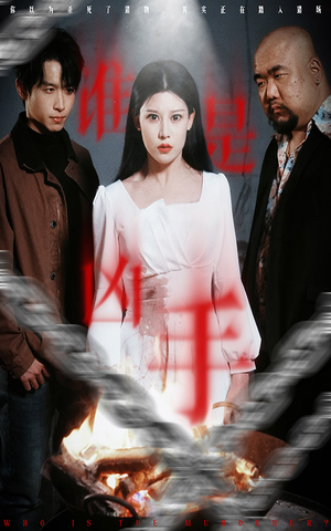 【谁是凶手】31集短剧免费在线高清观看