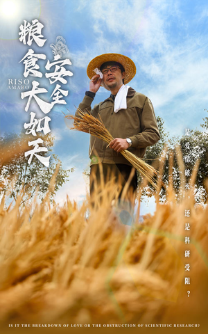 【粮食安全大如天】43集免费短剧在线速看