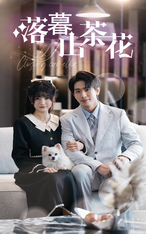 【落幕山茶花】50集短剧全集在线高清观看