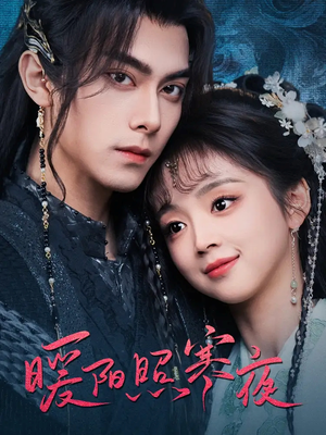 【暖阳照寒夜】68集短剧免费在线速看