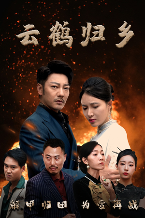 【云鹤归乡】65集免费短剧在线浏览