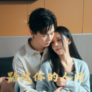 【路过你的人间】31集短剧在线免费全集观