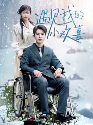 【遇见我的小欢喜】70集在线短剧完整观看