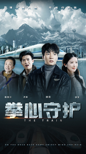 【拳心守护】28集在线免费短剧全集观赏