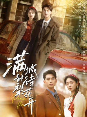 【满城静待梨花开】100集在线看短剧完整版