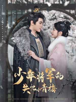 【少年将军的失忆小青梅】100集免费短剧在线高清观看