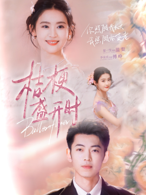 【她的小桔梗】92集免费短剧全集线上看