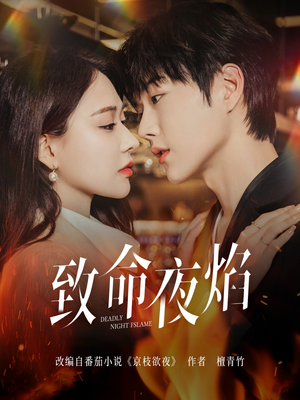 【致命夜焰】80集短剧在线播放免费赏
