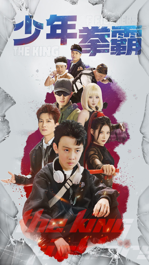 【少年拳霸】60集短剧免费在线追看