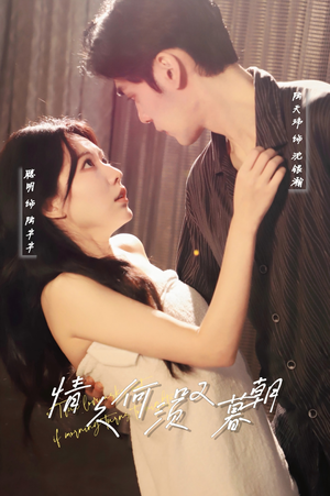 【情久何须叹暮朝】61集短剧全网免费追看