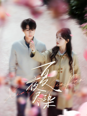 【夏夜尽染】80集热门短剧在线尽情看