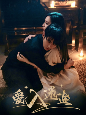 【爱入迷途】67集短剧免费在线全览