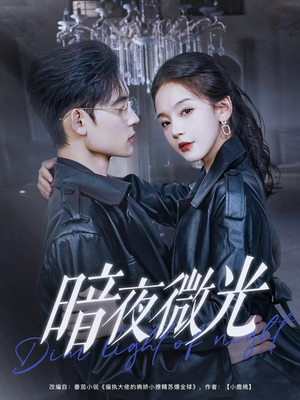 【暗夜微光】86集短剧无广告全集观看