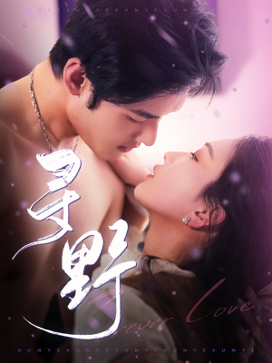 【寻野】100集短剧免费全集高清观看