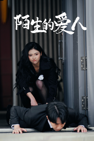 【陌生的爱人】60集在线短剧免费全集赏看