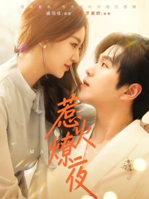 【惹火燎夜】74集短剧免费全集观享