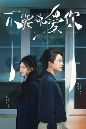 【不能说爱你】64集高清短剧免费畅看