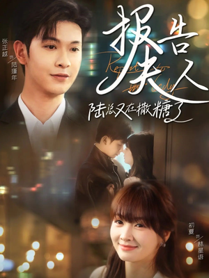 【报告夫人陆总又在撒糖了】69集免费短剧在线速看