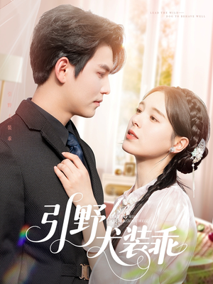 【引野犬装乖】61集短剧免费全集赏览