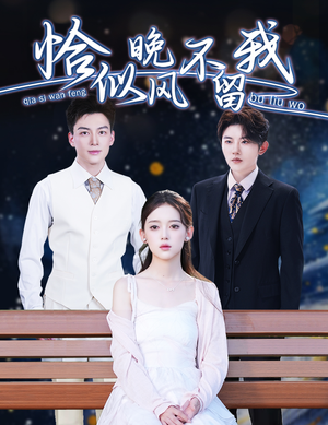 【弃他如风】51集短剧在线高清速看