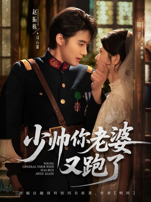 【少帅你老婆又跑了】82集短剧完整版免费播放