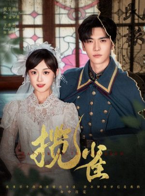 【揽雀】61集短剧在线免费全集速看