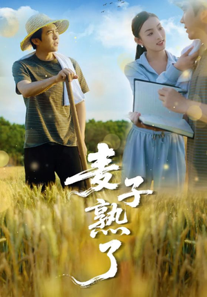 【麦子熟了】52集短剧免费全集观瞧