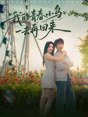 【我的青春小鸟一去再回来】95集免费短剧随时观看