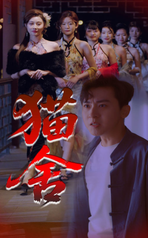 【猫舍】34集全网免费短剧在线观看