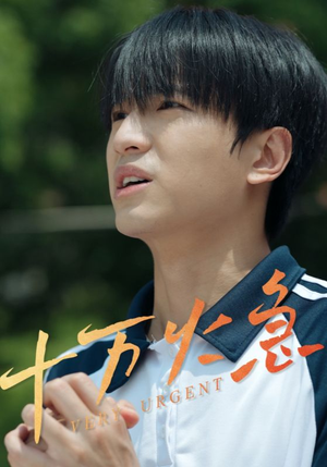 【十万火急】30集高清短剧在线免费看