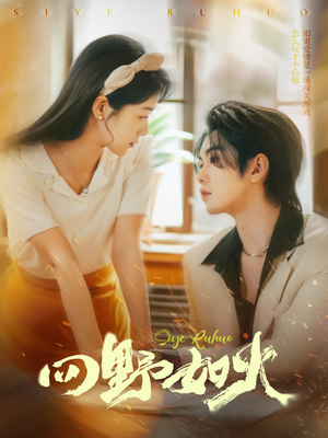 【四野如火】79集短剧全集免费在线览