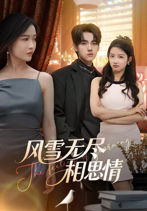 【风雪无尽相思情】61集短剧免费全集速看