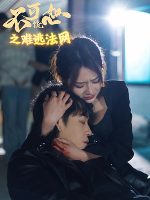 【不可饶恕之难逃法网】20集短剧免费在线完整看