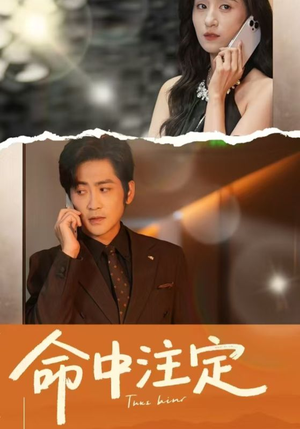 【命中注定】33集高清短剧免费在线观看