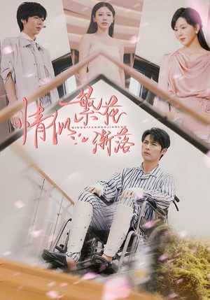 【情似繁花渐落】62集在线短剧免费观看