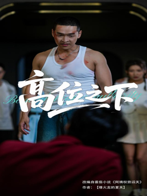 【高位之下】65集免费短剧全集速看