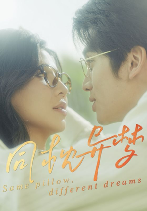 【同枕异梦】50集短剧在线高清快看