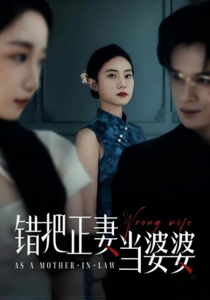 【错把正妻当婆婆】46集高清短剧在线观看