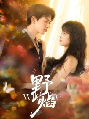 【野焰】60集夸克网盘短剧免费速看