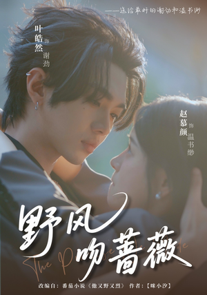 【野风吻蔷薇】78集短剧完整版在线赏