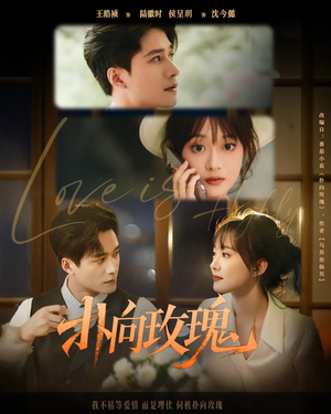 扑向玫瑰（77集）短剧全集完整版