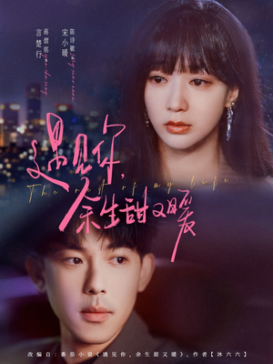 【遇见你余生甜又暖】70集短剧在线免费畅看全集