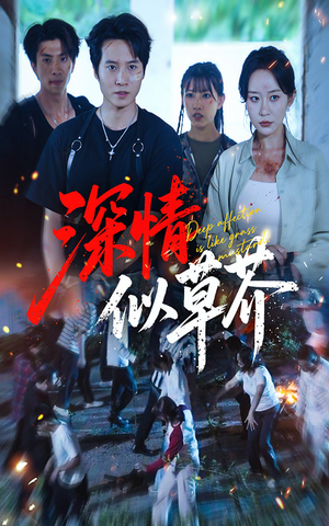 【深情似草芥】51集短剧完整版免费在线看