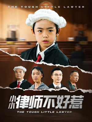 【小小律师不好惹】82集短剧全集免费在线赏