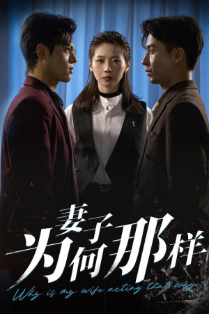 【妻子为何那样】60集短剧免费全集观享