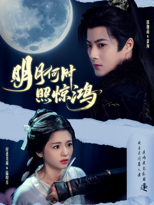 【明月何时照惊鸿】80集在线短剧免费畅快观看