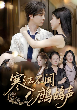 【寒江不闻鹧鸪声】55集短剧免费全集观看站