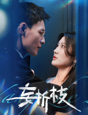 【妄折枝】53集短剧免费全集在线追看