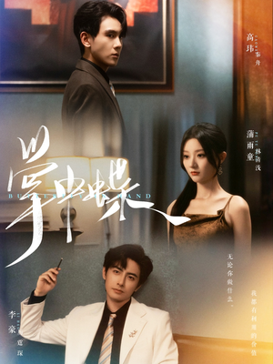 【掌中蝶】84集短剧免费完整版在线看