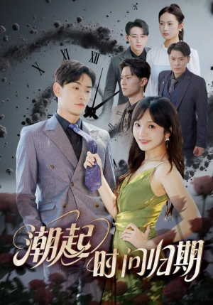 【潮起时问归期】56集在线看短剧完整版